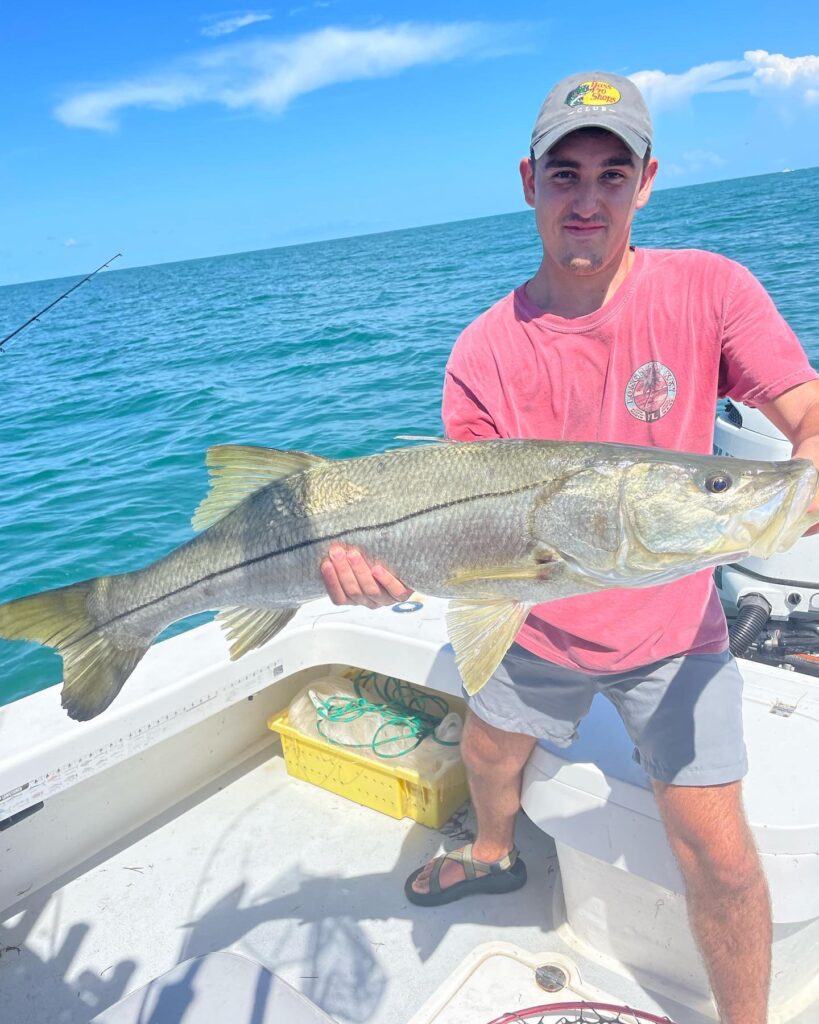 Inshore Fishing Large Snook Held By Client